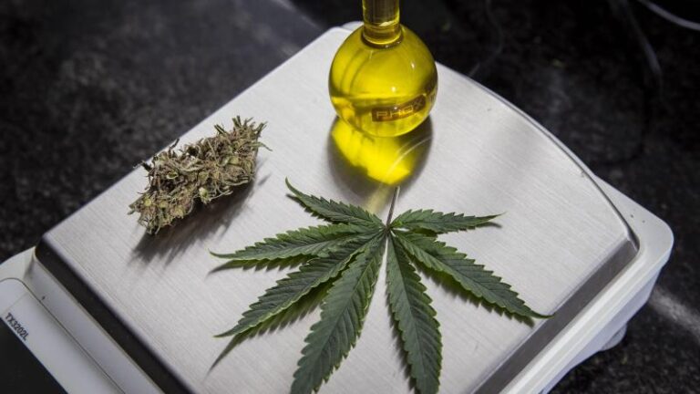 Deputados do PT e PSB participarão do Congresso Brasileiro da Cannabis em São Paulo